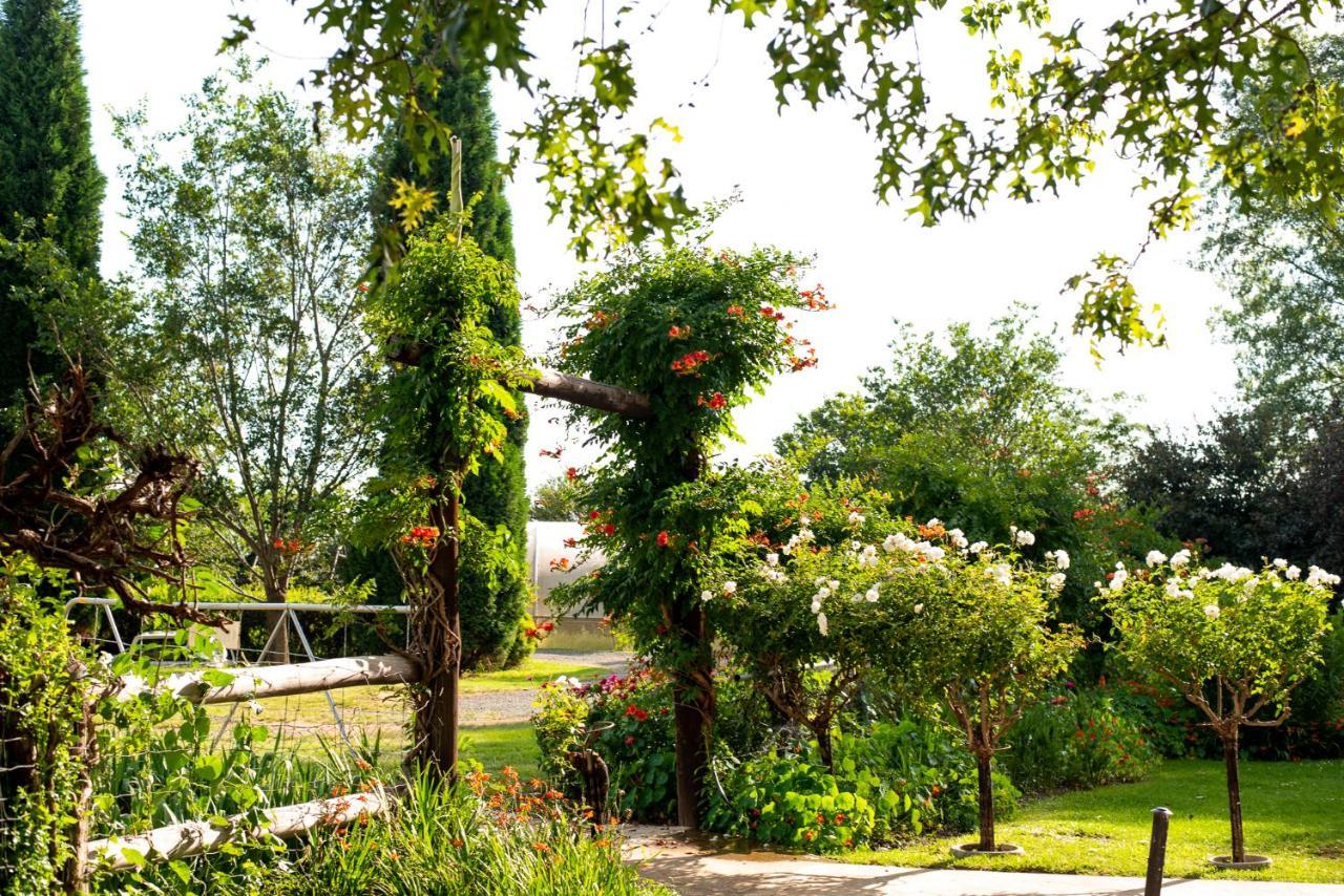 Wetlands Country House & Sheds Wakkerstroom Buitenkant foto